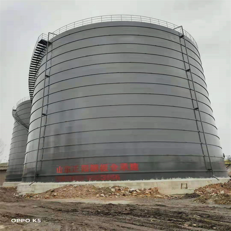 南江3万吨大型钢板库