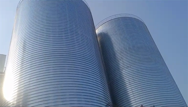 南江2座混凝土高架卷板仓